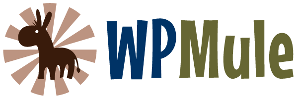 Five Point Website Management